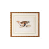 Landscape Chelsea House Animal Wall Art You Ll Love In 2021 Wayfair