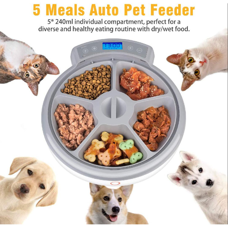timed release cat feeder