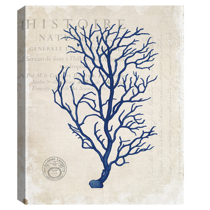 Highland Dunes Navy Blue Coral Print On Wrapped Canvas Wayfair