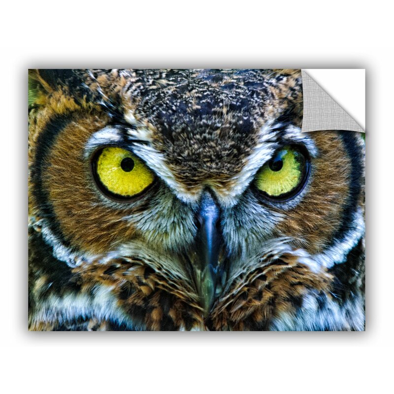 Owl Wall Decorations - Owl Removable Wall Decal