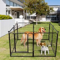 Chenils et enclos pour chiens  Wayfair.ca