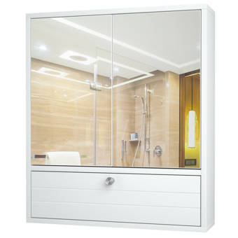 Latitude Run Arnit 22 W X 23 H X 5 D Wall Mounted Bathroom Cabinet Wayfair