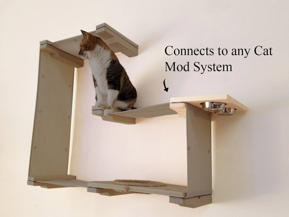 catastrophicreations 10 cat mod wall mounted feeder shelf wayfair