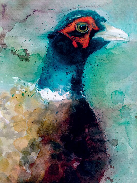 Union Rustic Male Pheasant Canvas Wall Art Reviews Wayfair Co Uk