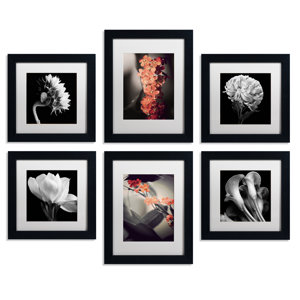 Floral Framed 6 Piece Photo Graphic Print Set on Paper