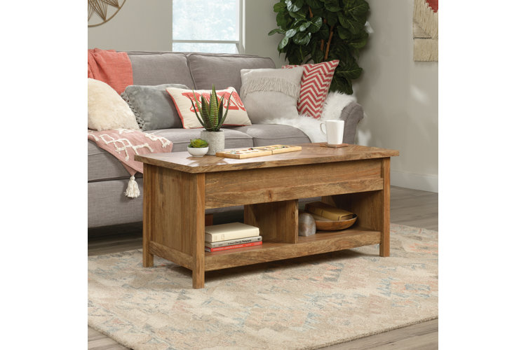 ambudkar drum coffee table with storage