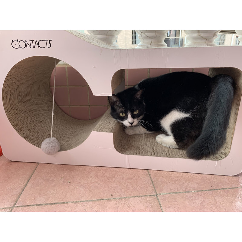 cardboard cat sofa