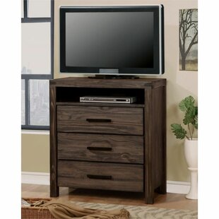 Carillo Solid Wood TV Stand For TVs Up To 40