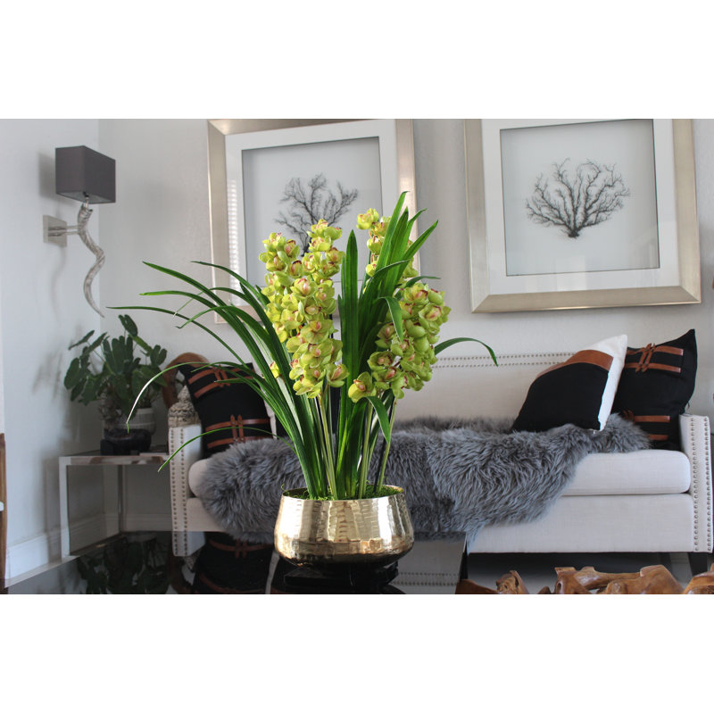 Mercer41 Orchids Floral Arrangement And Centerpieces In Planter Wayfair