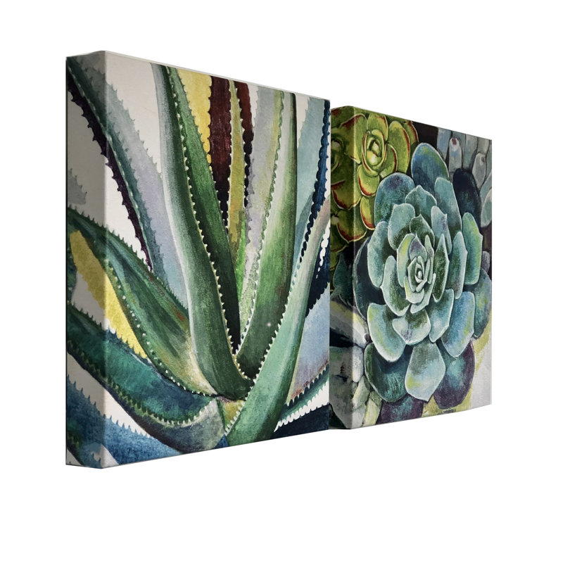 Bungalow Rose Brilliant Succulents I Ii By Norman Wyatt Jr 2 Piece Wrapped Canvas Acrylic Painting Print Set Reviews Wayfair