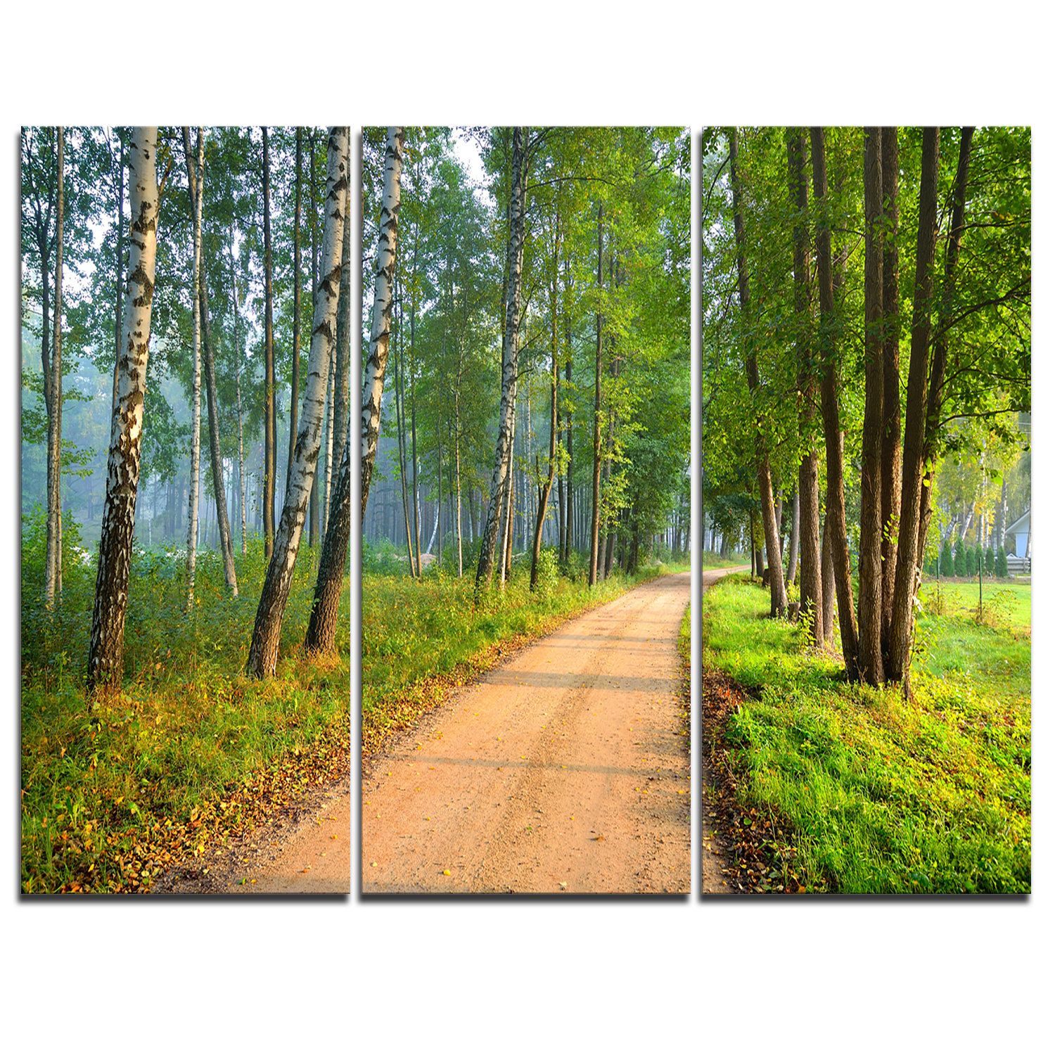 Designart Road In Green Morning Forest 3 Piece Graphic Art On Wrapped Canvas Set Wayfair