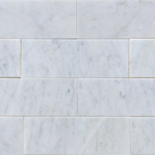Carrara Marble Tile Wayfair 3 X 8 Marble Subway Tile In White Carrara