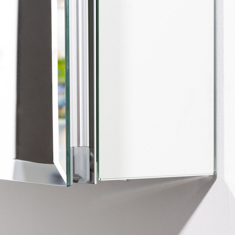 Orren Ellis Brunot Recessed Or Surface Mount Frameless 1 Door