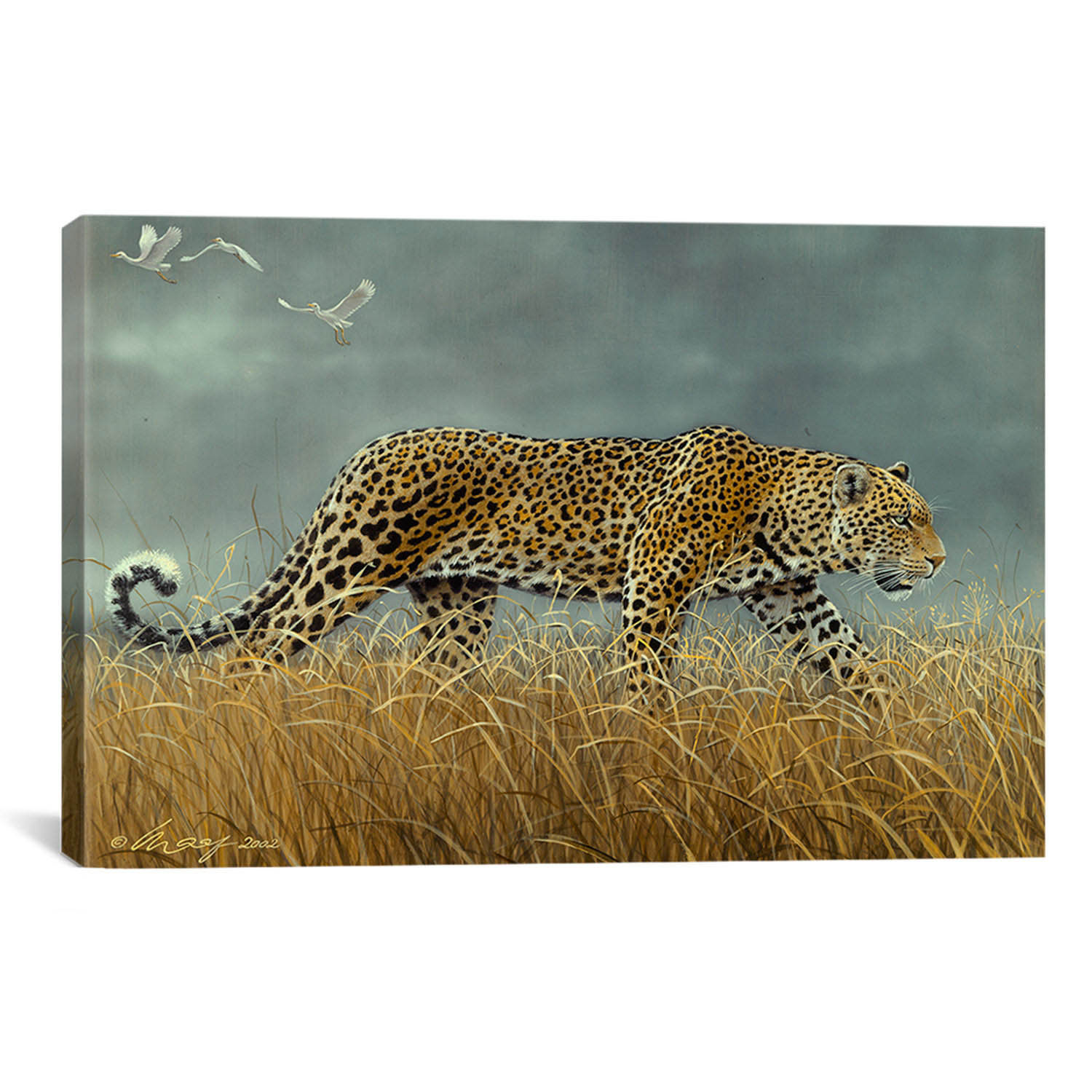iCanvas 'Leopard 2' by Harro Maass Painting Print on Canvas Wayfair