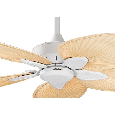 22 Windpointe 5 Blade Ceiling Fan Fanimation Size Finish 18natural