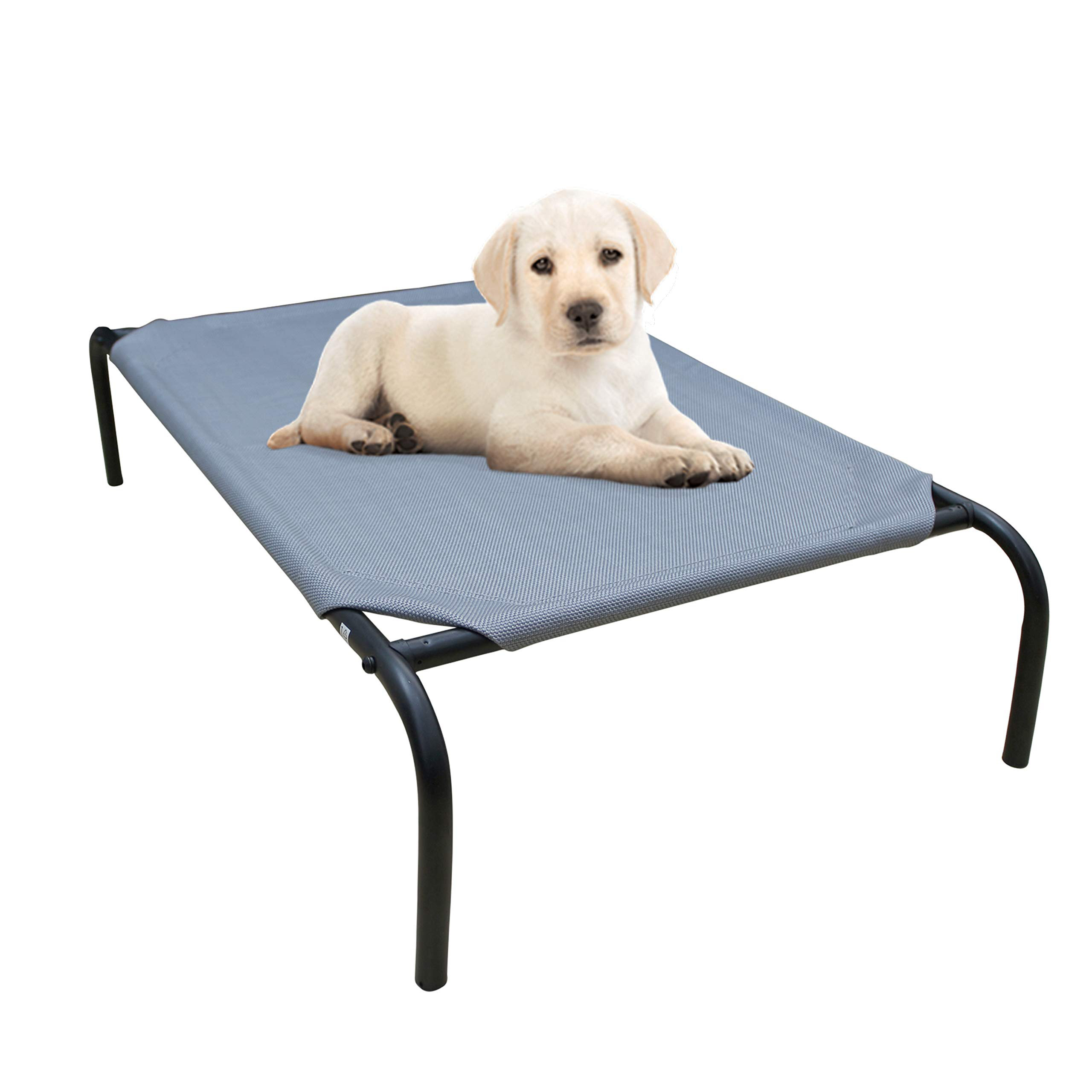 elevated cooling dog bed