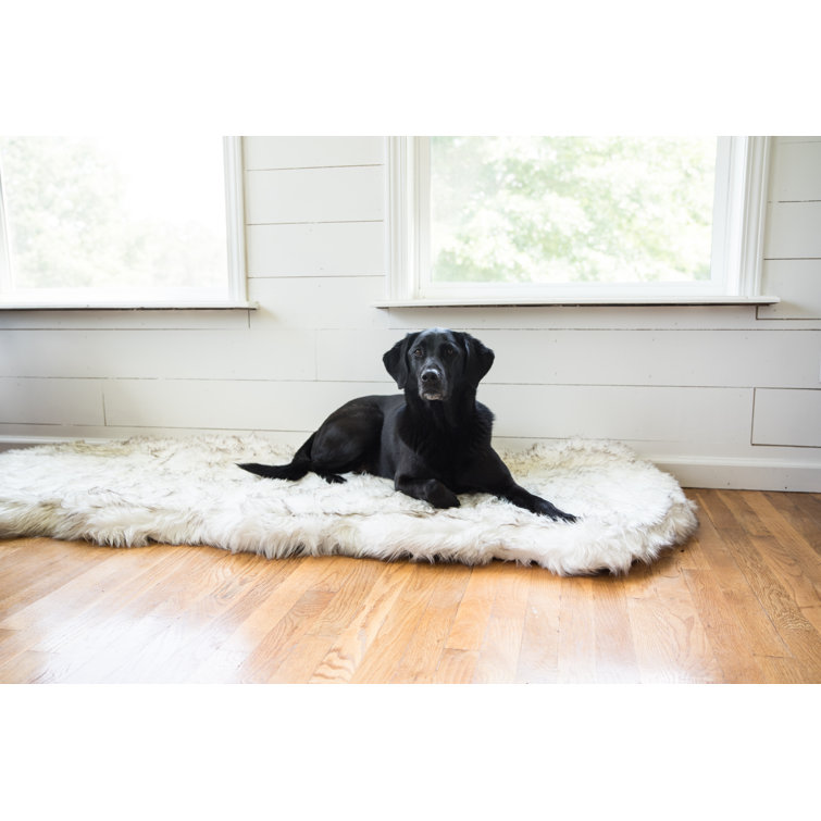 pup protector rug