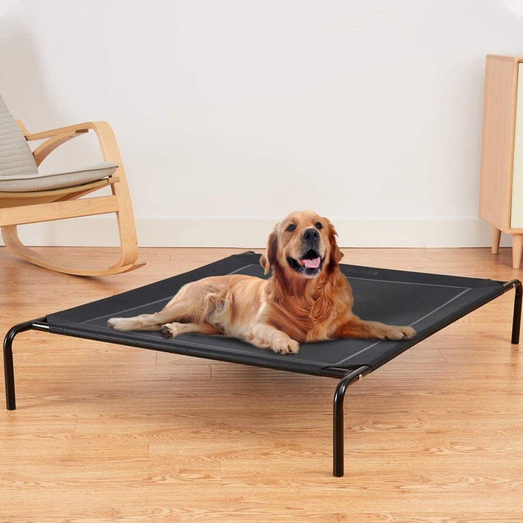 rubber dog bed