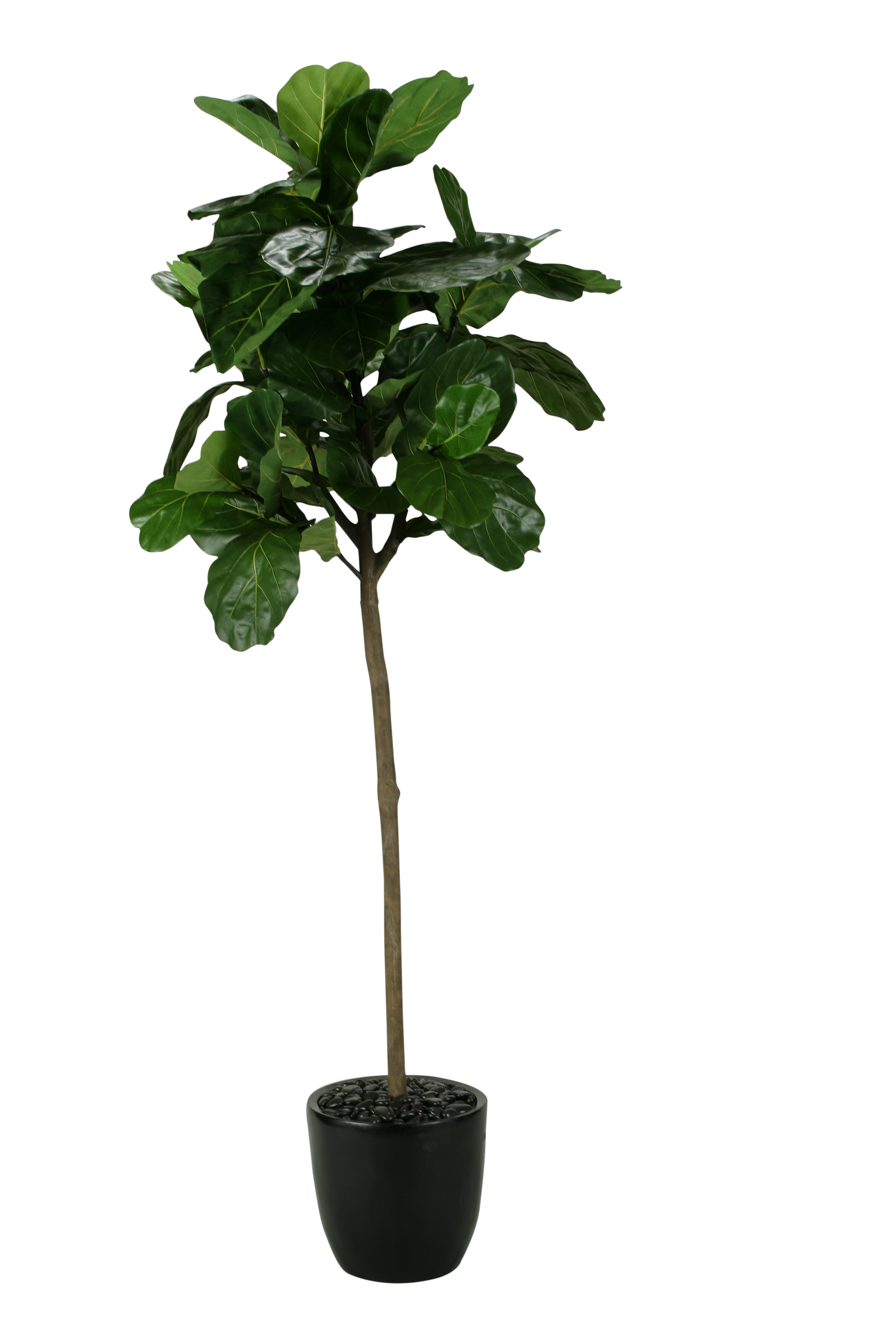 wayfair standing planter on Brayden Studio Fiddle Leaf Fig Tree In Planter Wayfair