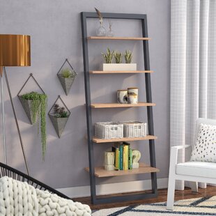 Theophanes Ladder Bookcase By Mercury Row