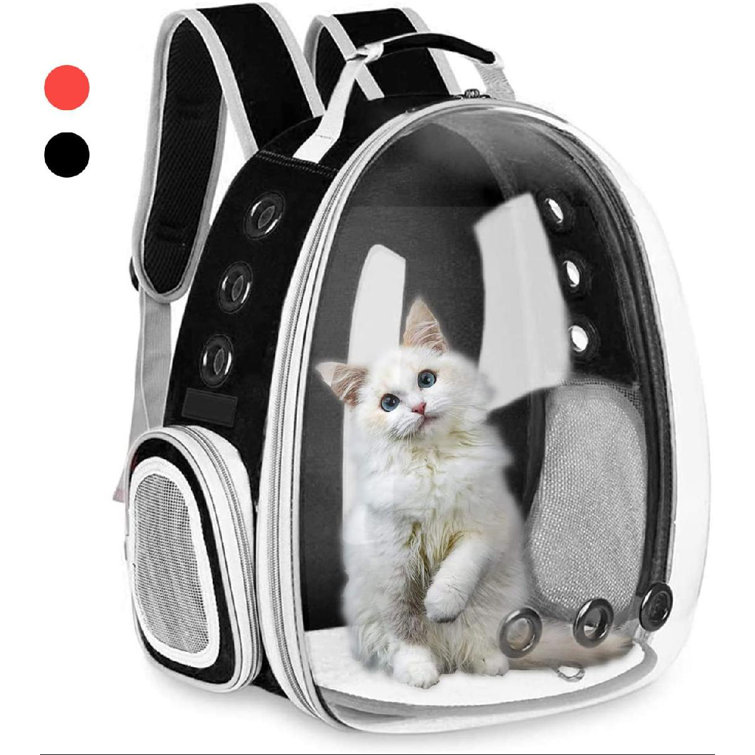 cat astronaut backpack