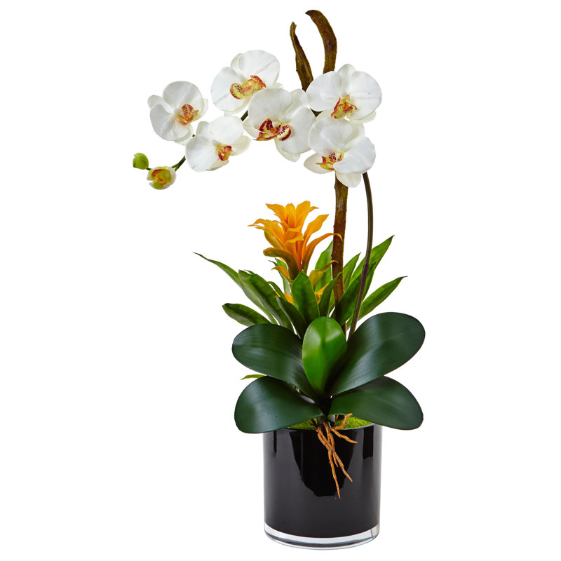 fake orchid arrangements