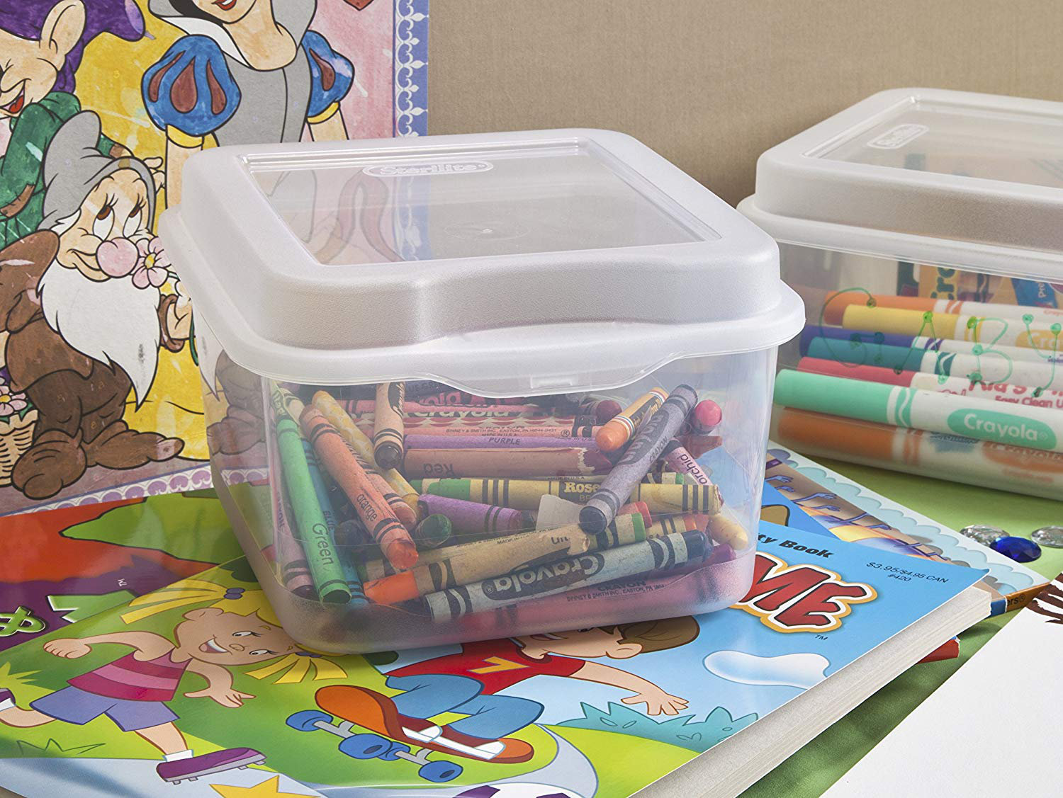 Sterilite Small Flip Top Storage Box & Reviews Wayfair