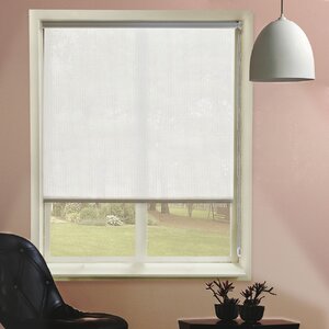 Sheer Roller Shades