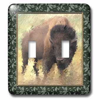 3drose Sd Lakota Indian Teepee Native American 2 Gang Toggle Light Switch Wall Plate Wayfair