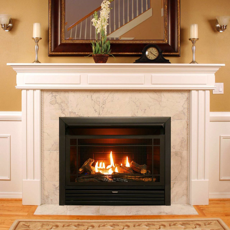 Charlton Home® Hardwick Vent-Free Recessed Natural Gas/Propane Fireplace Insert Only with Remote