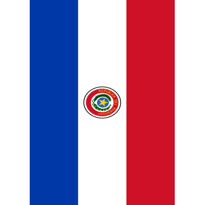 Paraguay Garden flag Toland Home Garden