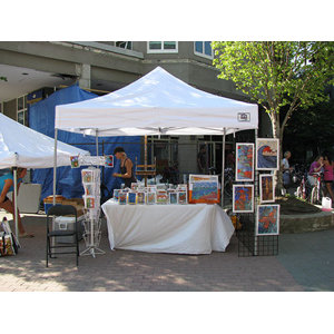 TLKIT 10 Ft. W x 10 Ft. D Steel Pop-Up Canopy