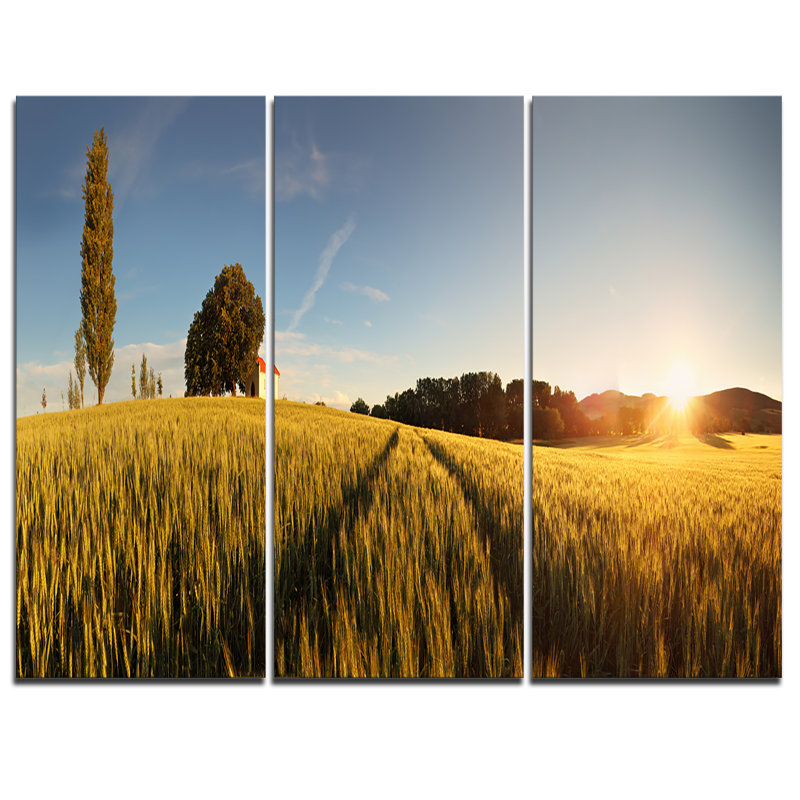 Designart Sunset Over Wheat Field In Slovakia 3 Piece Graphic Art On Wrapped Canvas Set
