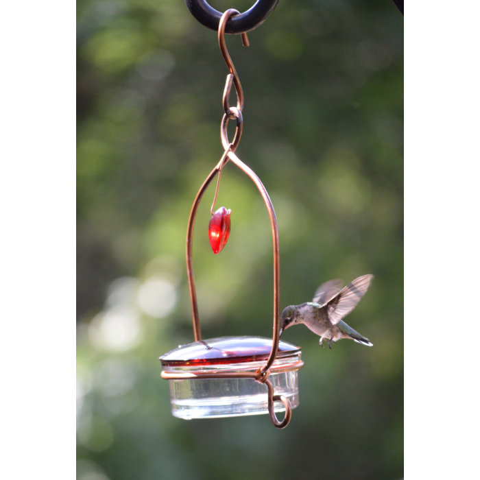 Songbird Essentials Tweet Heart Lantern Hummingbird Feeder Wayfair