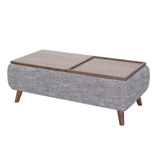 Shirlene Lift Top Coffee Table With Storage