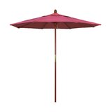 Modern Pink Patio Umbrellas Allmodern