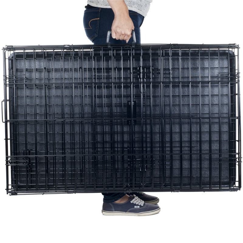 Tucker Murphy Pet Brianna Double Door Foldable Pet Crate Reviews