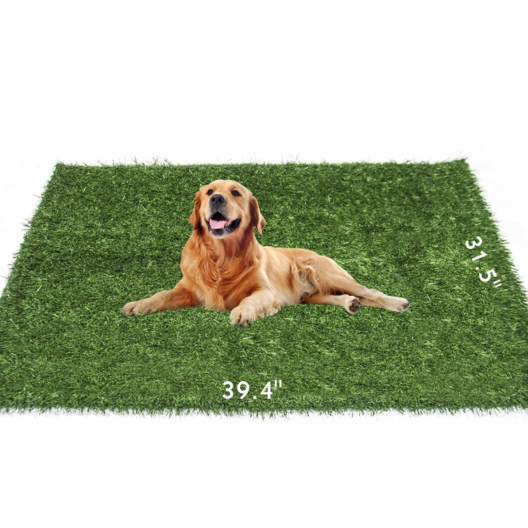 training grass pad