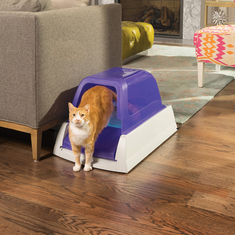 small self cleaning litter box