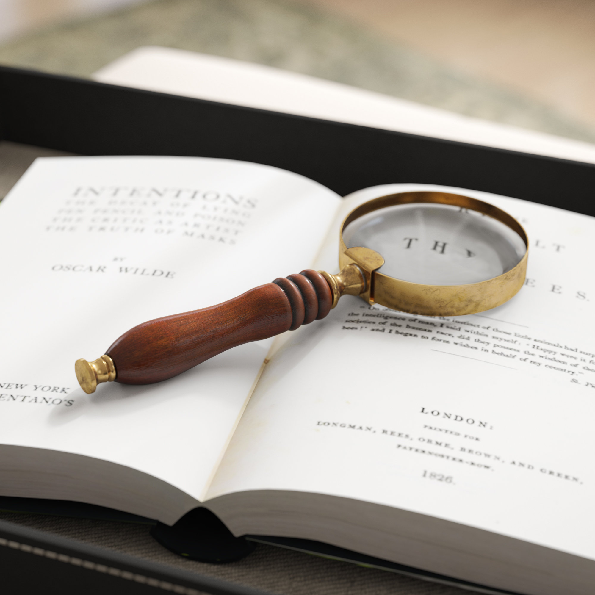 Decorative Magnifying Glass Wayfair