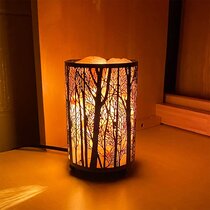 black salt rock lamp