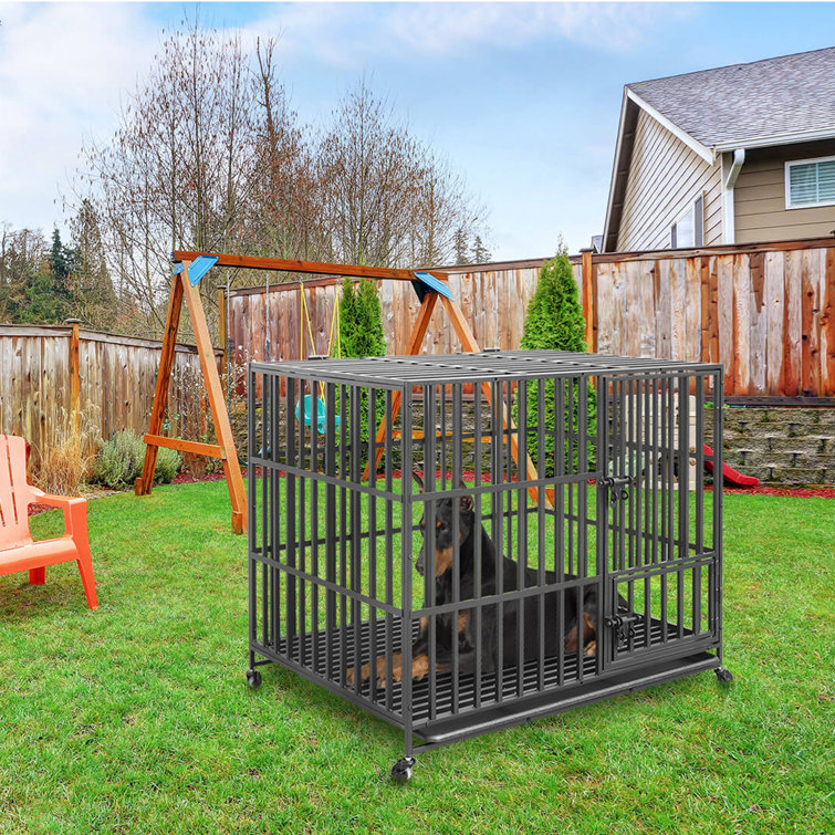 jumbo dog cage
