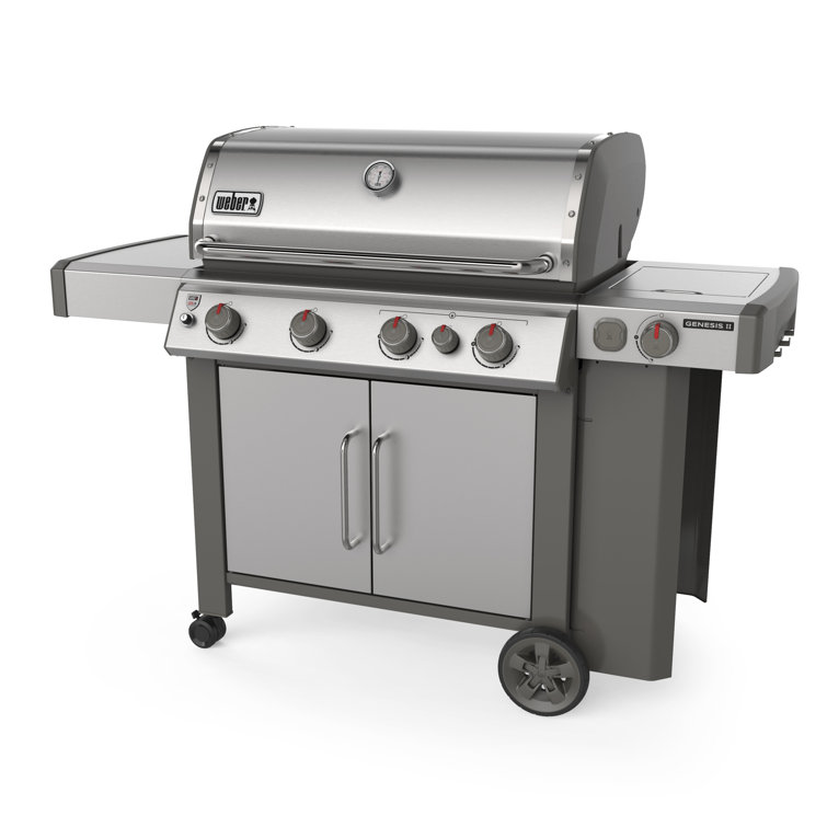 weber e435