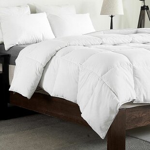 Twin Latitude Run Down Comforters Duvet Inserts You Ll Love In