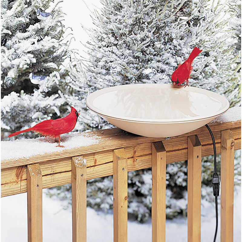 Heated Birdbath