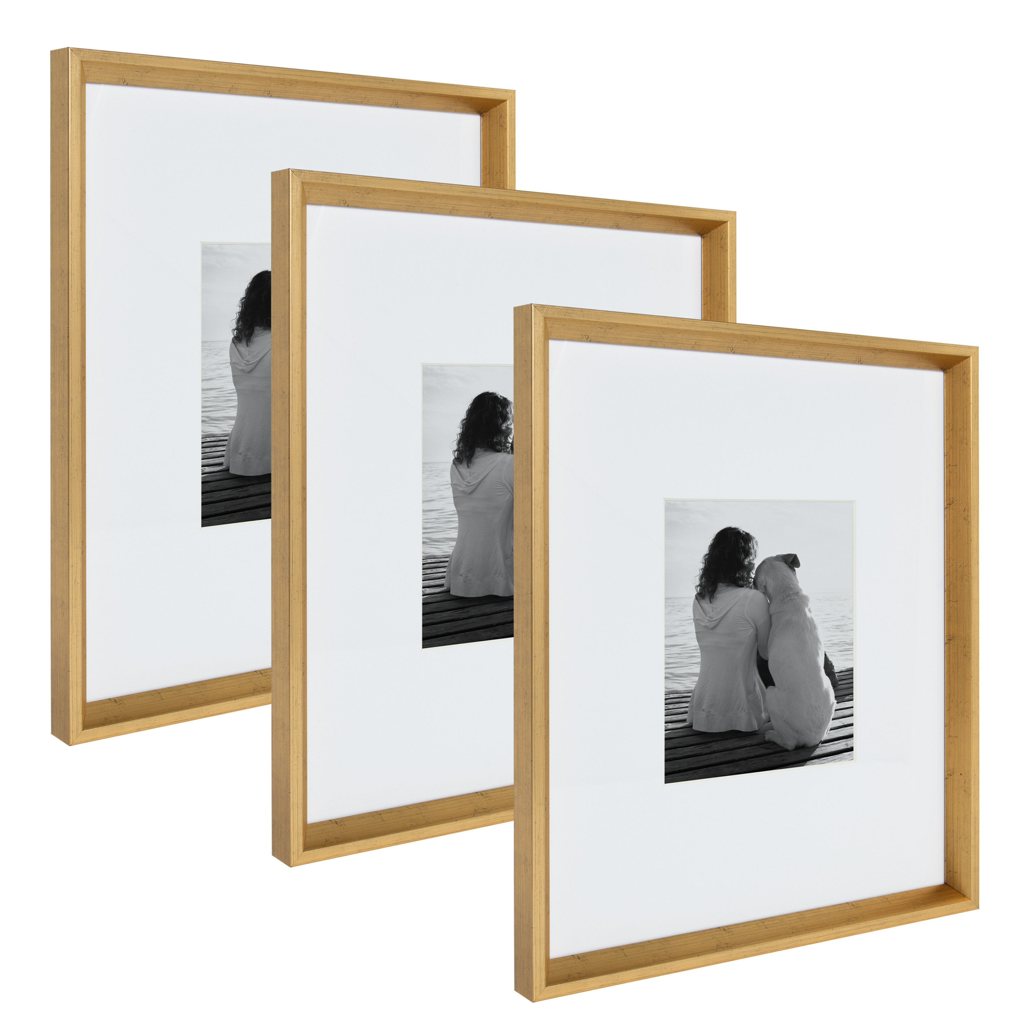 Ivor Matted Wall Picture Frame Reviews Joss Main