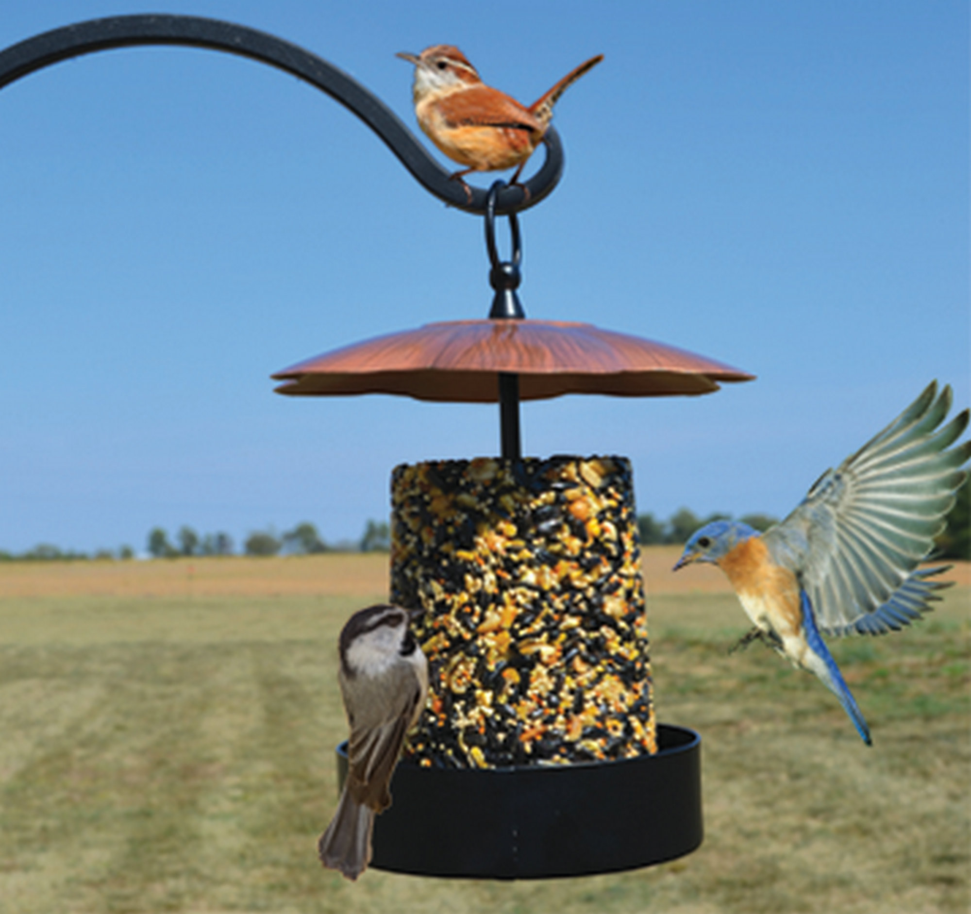 Songbird Essentials Roof Multi Purpose Hopper Bird Feeder Wayfair