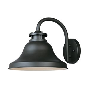 Carpenter 1-Light Outdoor Barn Light