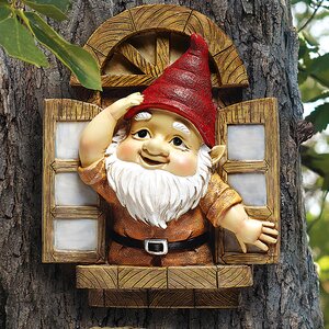 Knothole Gnomes Window Gnome Garden Welcome Tree Statue