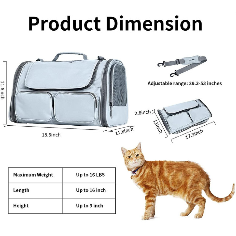 the range cat carrier